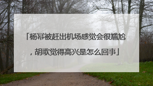 杨幂被赶出机场感觉会很尴尬，胡歌觉得高兴是怎么回事