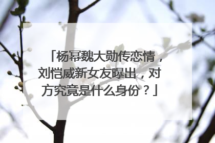 杨幂魏大勋传恋情，刘恺威新女友曝出，对方究竟是什么身份？