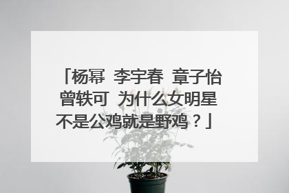 杨幂 李宇春 章子怡 曾轶可 为什么女明星不是公鸡就是野鸡？