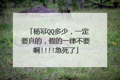 杨幂QQ多少,一定要真的,假的一律不要啊!!!!急死了
