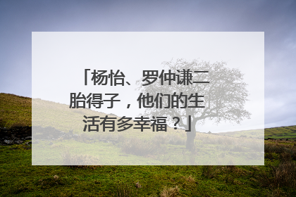 杨怡、罗仲谦二胎得子,他们的生活有多幸福?