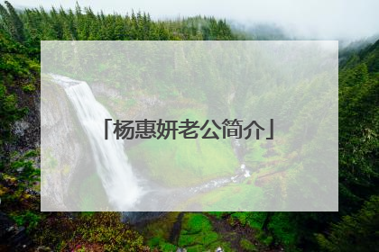 杨惠妍老公简介