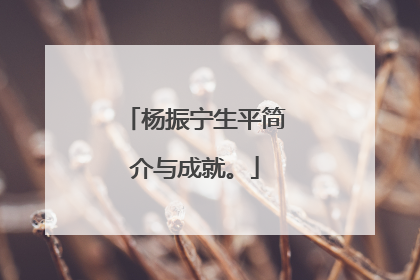 杨振宁生平简介与成就。