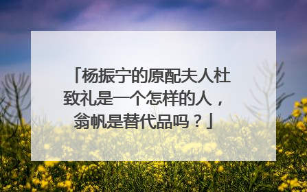 杨振宁的原配夫人杜致礼是一个怎样的人,翁帆是替代品吗?