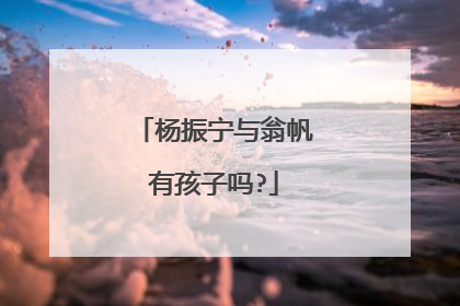 杨振宁与翁帆有孩子吗?