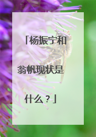 杨振宁和翁帆现状是什么？