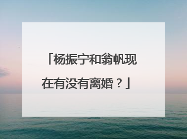 杨振宁和翁帆现在有没有离婚？