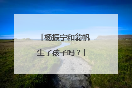杨振宁和翁帆生了孩子吗?