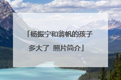杨振宁和翁帆的孩子多大了 照片简介