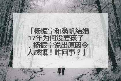 杨振宁和翁帆结婚17年为何没要孩子，杨振宁说出原因令人感慨！咋回事？