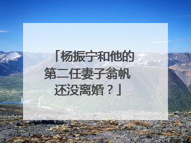 杨振宁和他的第二任妻子翁帆还没离婚？