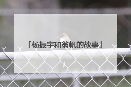 杨振宇和翁帆的故事