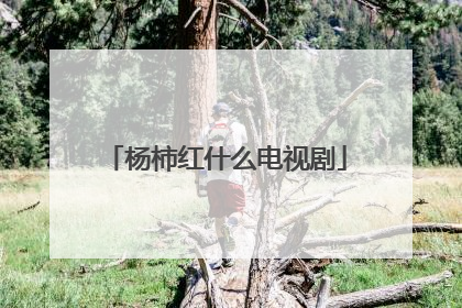 杨柿红什么电视剧