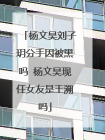 杨文昊刘子玥分手因被黑吗 杨文昊现任女友是王溯吗