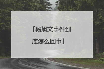 杨旭文事件到底怎么回事