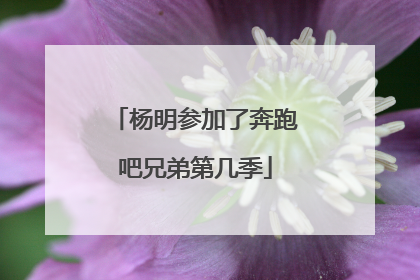 杨明参加了奔跑吧兄弟第几季