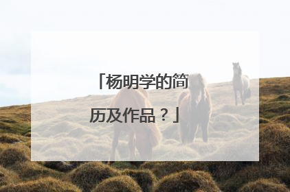 杨明学的简历及作品？