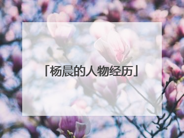 杨晨的人物经历