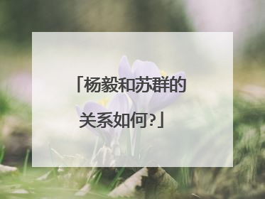 杨毅和苏群的关系如何?