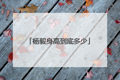 杨毅身高到底多少