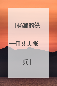 杨澜的第一任丈夫张一兵