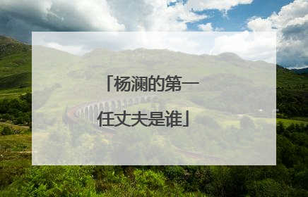 杨澜的第一任丈夫是谁