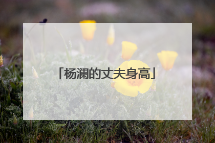 杨澜的丈夫身高