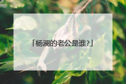杨澜的老公是谁?