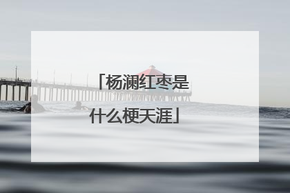 杨澜红枣是什么梗天涯