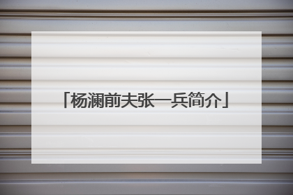 杨澜前夫张一兵简介