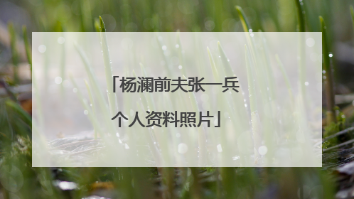 杨澜前夫张一兵个人资料照片