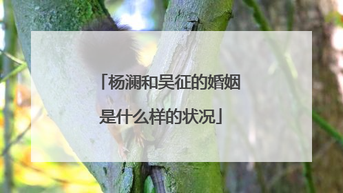 杨澜和吴征的婚姻是什么样的状况