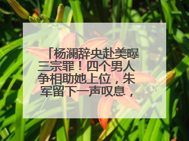 杨澜辞央赴美曝三宗罪!四个男人争相助她上位,朱军留下一声叹息,啥情况?