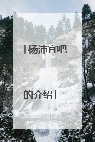 杨沛宜吧的介绍