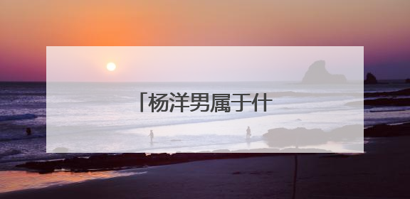 杨洋男属于什么类型的男生