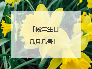 杨洋生日几月几号