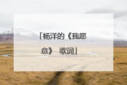 杨洋的《我愿意》 歌词