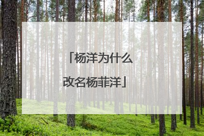 杨洋为什么改名杨菲洋