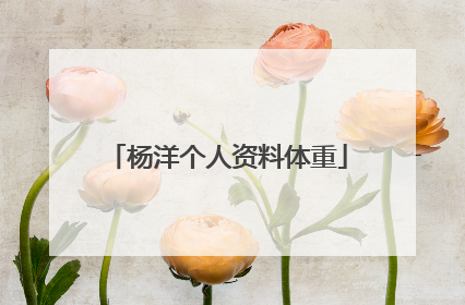 杨洋个人资料体重