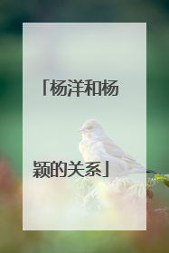 杨洋和杨颖的关系