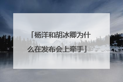 杨洋和胡冰卿为什么在发布会上牵手