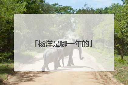 杨洋是哪一年的