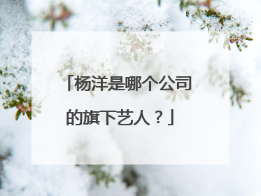 杨洋是哪个公司的旗下艺人？