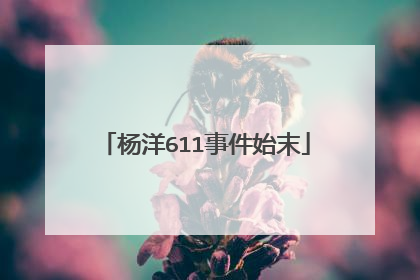 杨洋611事件始末