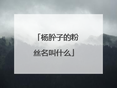 杨肸子的粉丝名叫什么