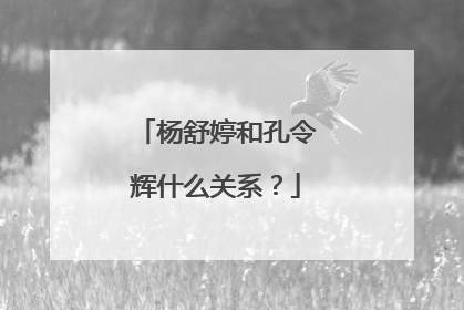 杨舒婷和孔令辉什么关系？