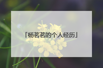 杨茗茗的个人经历