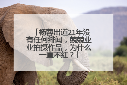 杨蓉出道21年没有任何绯闻，兢兢业业拍摄作品，为什么一直不红？