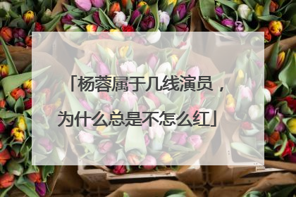 杨蓉属于几线演员，为什么总是不怎么红