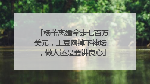 杨蕾离婚拿走七百万美元，土豆网掉下神坛，做人还是要讲良心